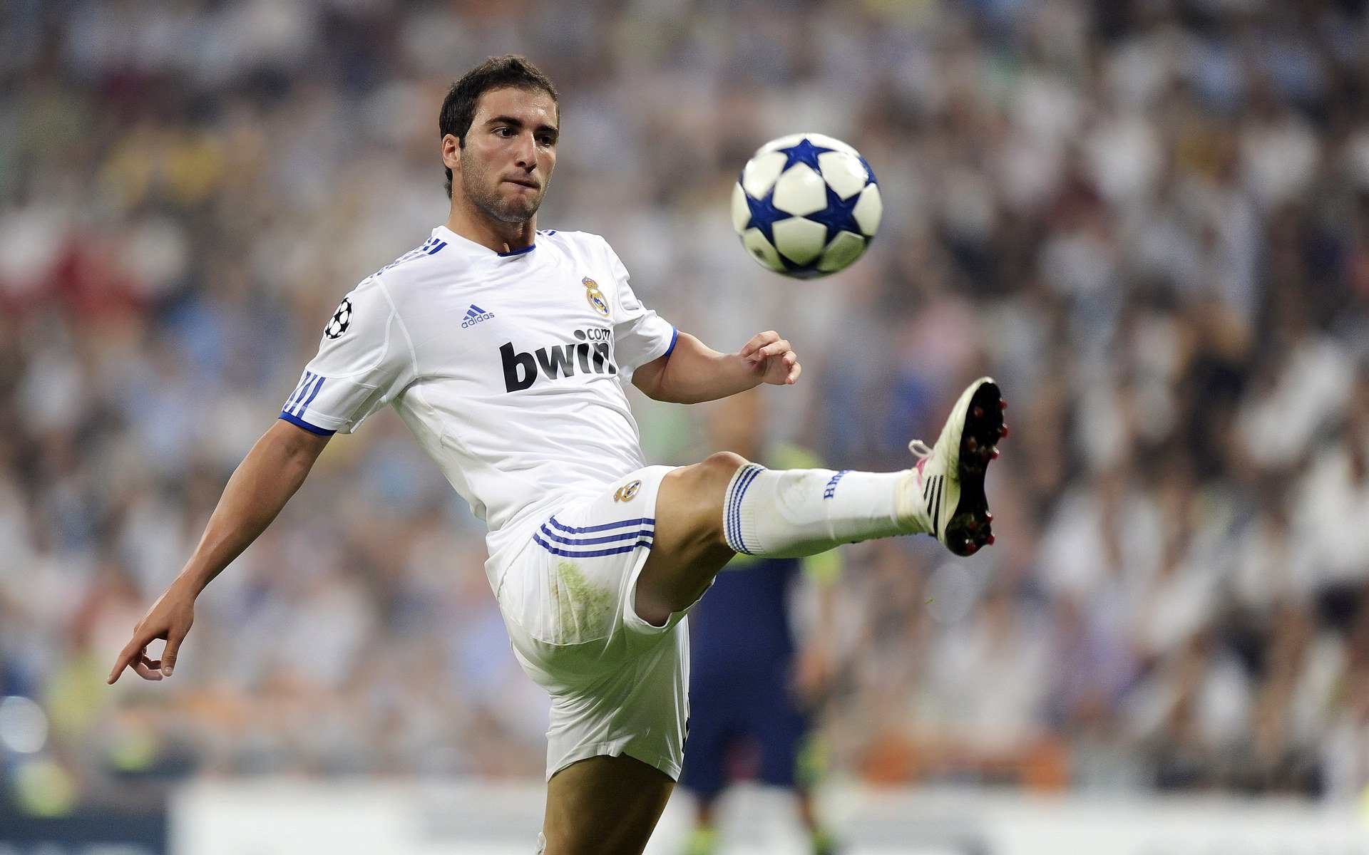 复出在即：明星球员逐渐康复，期待归来！，明星复出有多心酸